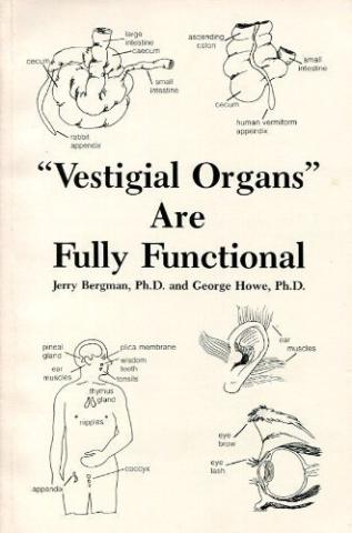 vestigial-organs-fully-functional.jpg